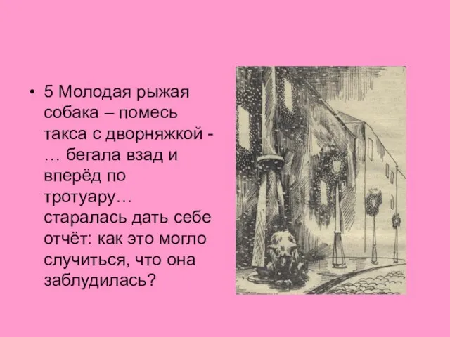 5 Молодая рыжая собака – помесь такса с дворняжкой - … бегала