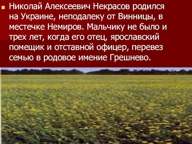 Николай Алексеевич Некрасов родился на Украине, неподалеку от Винницы, в местечке Немиров.