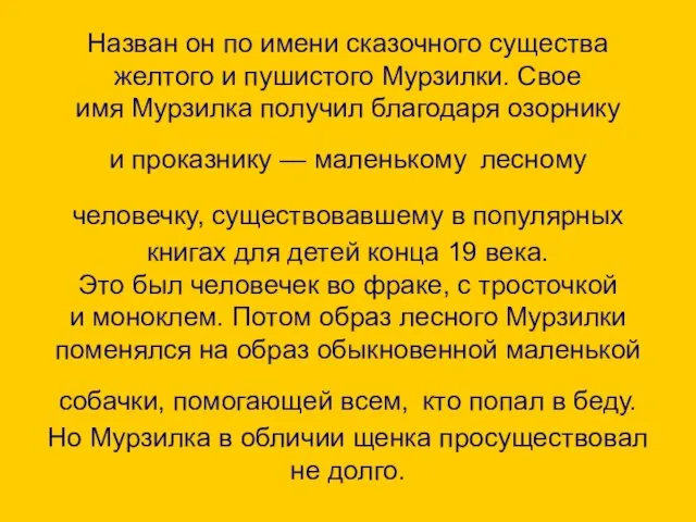 Назван он по имени сказочного существа желтого и пушистого Мурзилки. Свое имя