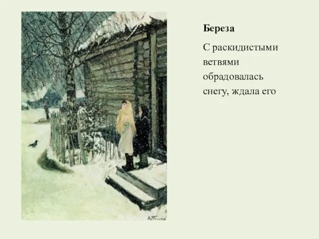 Береза С раскидистыми ветвями обрадовалась снегу, ждала его