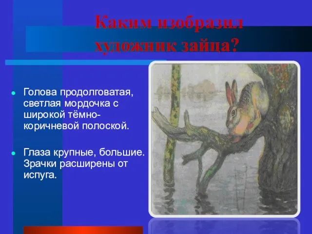 Каким изобразил художник зайца? Голова продолговатая, светлая мордочка с широкой тёмно-коричневой полоской.