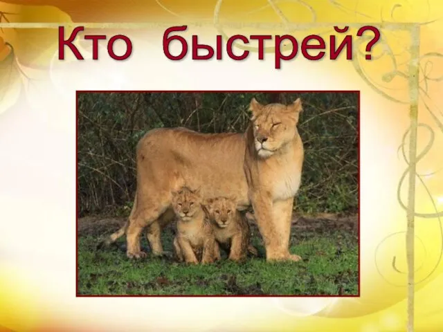 Кто быстрей?