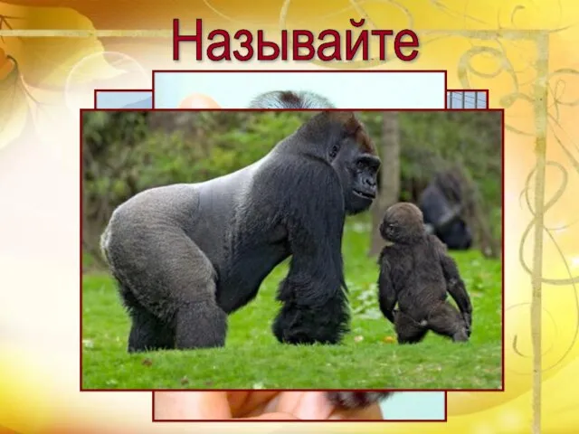 Называйте