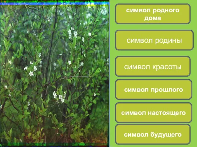 символ родного дома символ родины символ красоты символ прошлого символ настоящего символ будущего