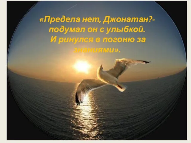 «Предела нет, Джонатан?-подумал он с улыбкой. И ринулся в погоню за знаниями».