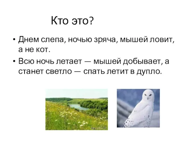 Кто это? Днем слепа, ночью зряча, мышей ловит, а не кот. Всю