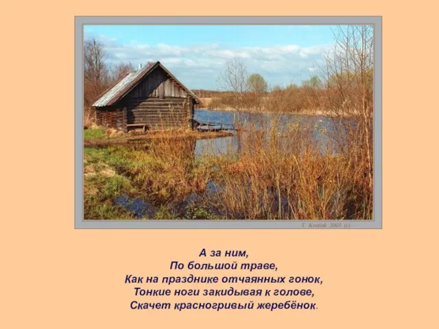 А за ним, По большой траве, Как на празднике отчаянных гонок, Тонкие