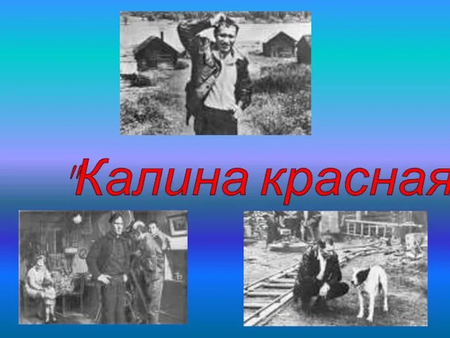 "Калина красная"