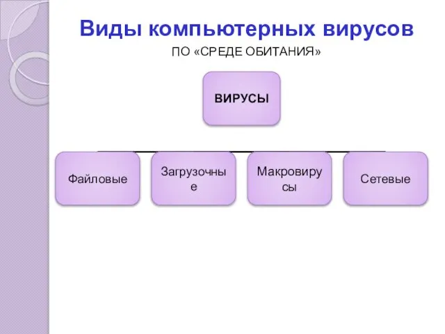 Виды компьютерных вирусов ПО «СРЕДЕ ОБИТАНИЯ»