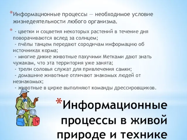 Информационные процессы в живой природе и технике Информационные процессы — необходимое условие