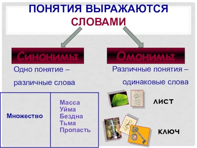 Понятия выражаются словами Синонимы Омонимы Одно понятие – различные слова Различные понятия