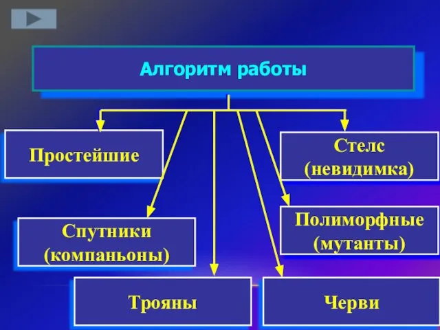 Стелс (невидимка) Алгоритм работы Простейшие Полиморфные (мутанты) Спутники (компаньоны) Трояны Черви