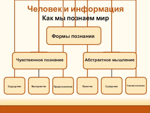 Представление Умозаключение Формы познания Чувственное познание Абстрактное мышление Человек и информация Как мы познаем мир