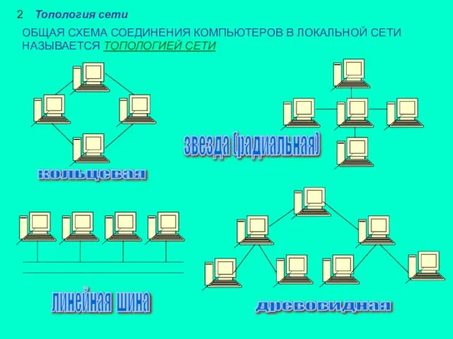 2 Топология сети ОБЩАЯ СХЕМА СОЕДИНЕНИЯ КОМПЬЮТЕРОВ В ЛОКАЛЬНОЙ СЕТИ НАЗЫВАЕТСЯ ТОПОЛОГИЕЙ