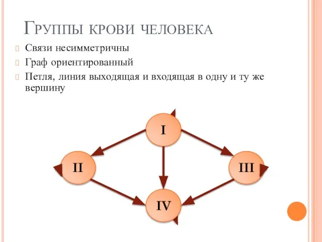 Группы крови человека Связи несимметричны Граф ориентированный Петля, линия выходящая и входящая