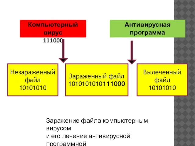 Компьютерный вирус 111000 Антивирусная программа Незараженный файл 10101010 Зараженный файл 1010101010111000 Вылеченный