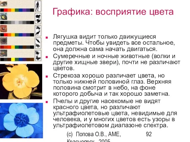 (c) Попова О.В., AME, Красноярск, 2005 Графика: восприятие цвета Лягушка видит только