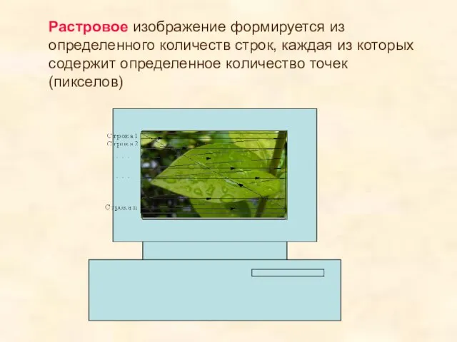 Растровое изображение формируется из определенного количеств строк, каждая из которых содержит определенное количество точек (пикселов)