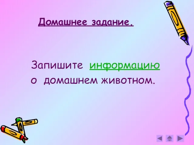 Домашнее задание. Запишите информацию о домашнем животном.