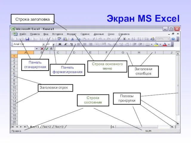 Экран MS Excel