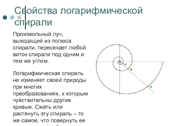 Свойства логарифмической спирали Произвольный луч, выходящий из полюса спирали, пересекает любой виток