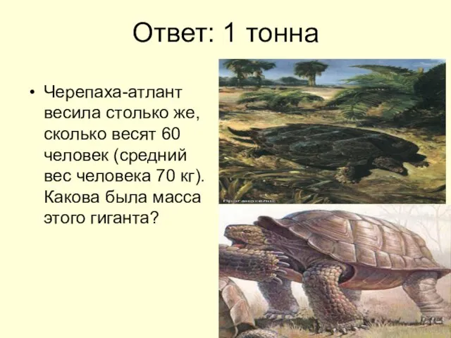 Ответ: 1 тонна Черепаха-атлант весила столько же, сколько весят 60 человек (средний