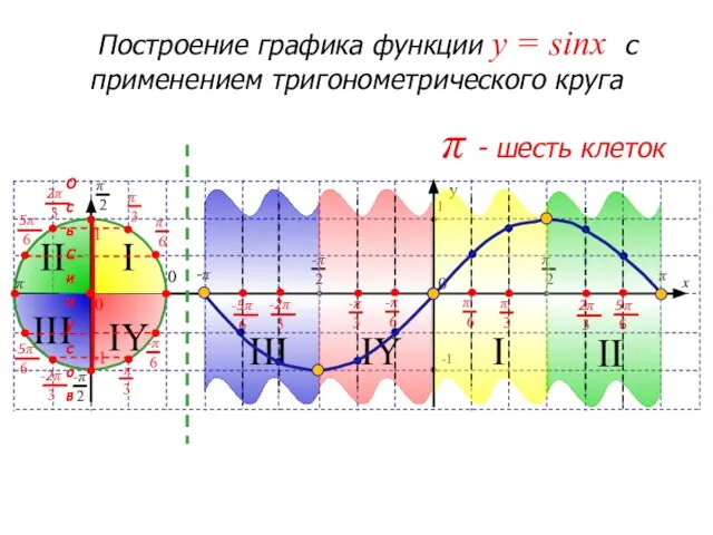 III II I IY III IY I II p - шесть клеток