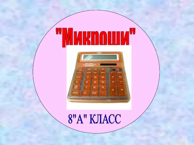 "Микроши" 8"А" КЛАСС