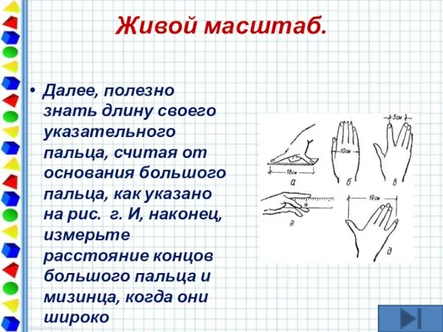 Живой масштаб. Далее, полезно знать длину своего указательного пальца, считая от основания