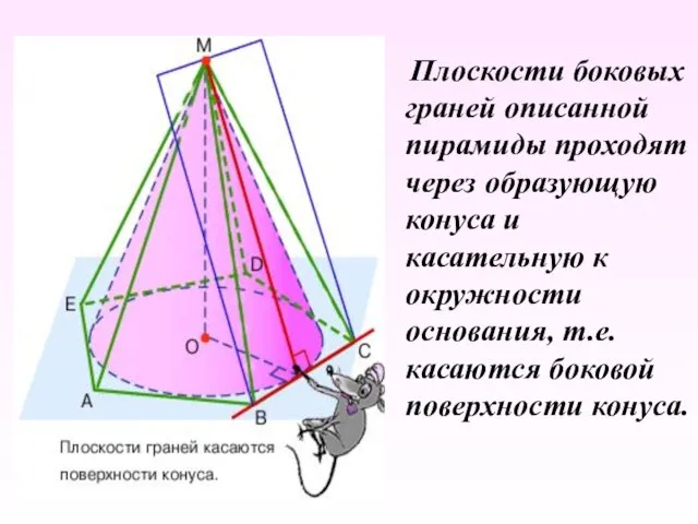 Плоскости боковых граней описанной пирамиды проходят через образующую конуса и касательную к