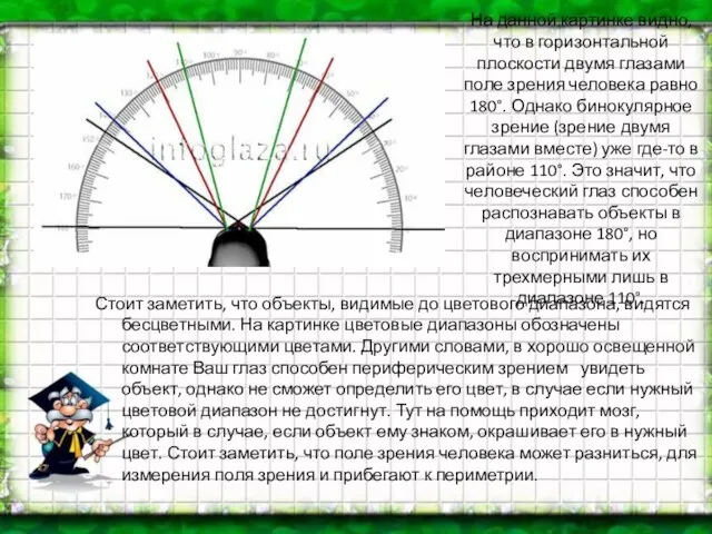 На данной картинке видно, что в горизонтальной плоскости двумя глазами поле зрения