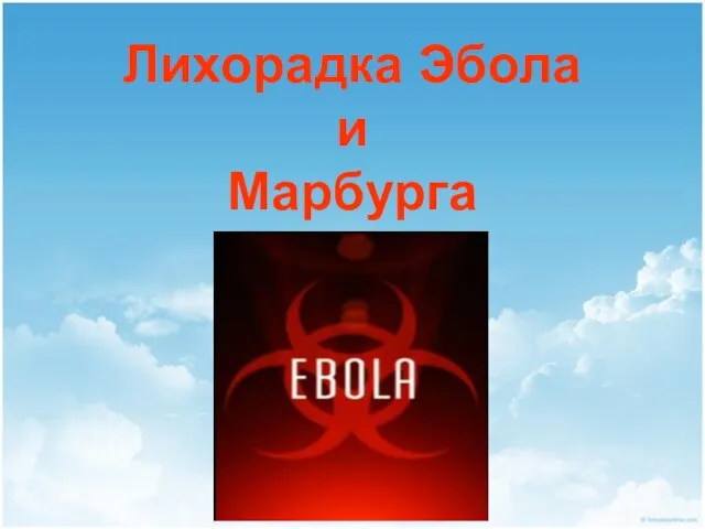 Презентация на тему Лихорадка Эбола