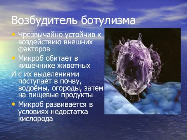 Возбудитель ботулизма Чрезвычайно устойчив к воздействию внешних факторов Микроб обитает в кишечнике