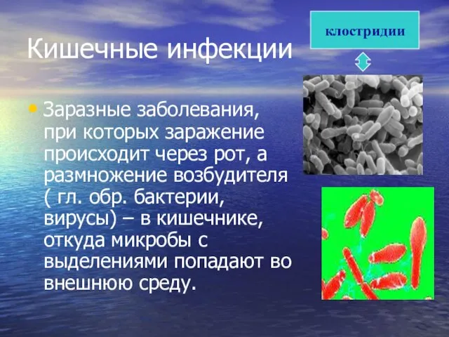 Кишечные инфекции Заразные заболевания, при которых заражение происходит через рот, а размножение