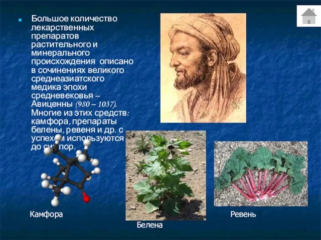 Большое количество лекарственных препаратов растительного и минерального происхождения описано в сочинениях великого