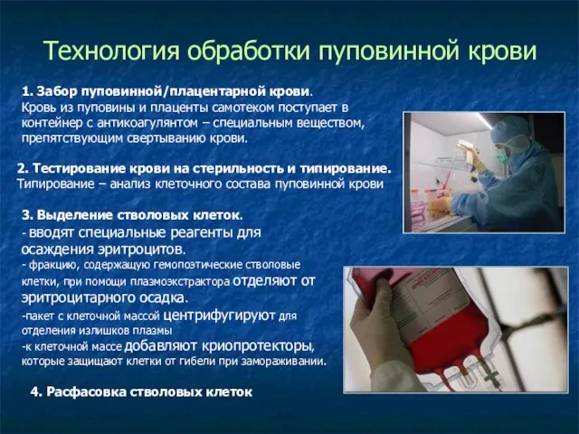 Технология обработки пуповинной крови 1. Забор пуповинной/плацентарной крови. Кровь из пуповины и