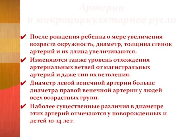 Артерии и микроциркуляторное русло После рождения ребенка о мере увеличения возраста окружность,