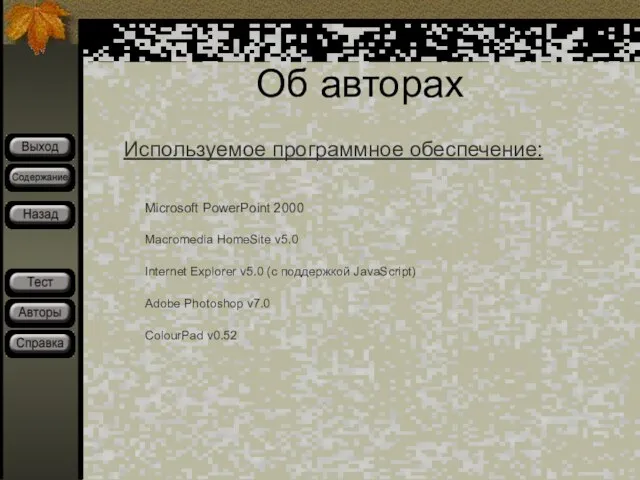 Об авторах Используемое программное обеспечение: Microsoft PowerPoint 2000 Macromedia HomeSite v5.0 Internet