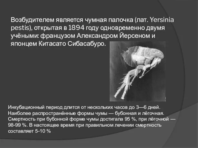 Возбудителем является чумная палочка (лат. Yersinia pestis), открытая в 1894 году одновременно