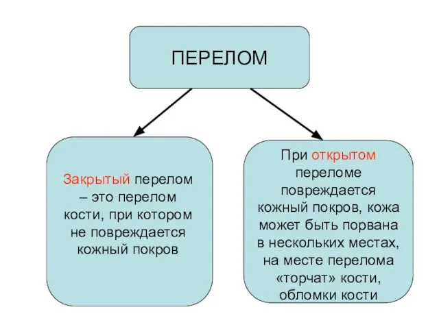 ПЕРЕЛОМ Закрытый перелом – это перелом кости, при котором не повреждается кожный