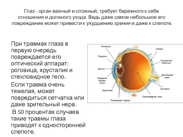 Глаз - орган важный и сложный, требует бережного к себе отношения и