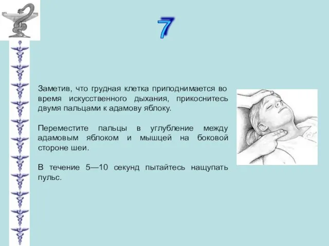 7 Заметив, что грудная клетка приподнимается во время искусственного дыхания, прикоснитесь двумя