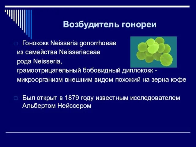 Возбудитель гонореи Гонококк Neisseria gonorrhoeae из семейства Neisseriaceae рода Neisseria, грамоотрицательный бобовидный