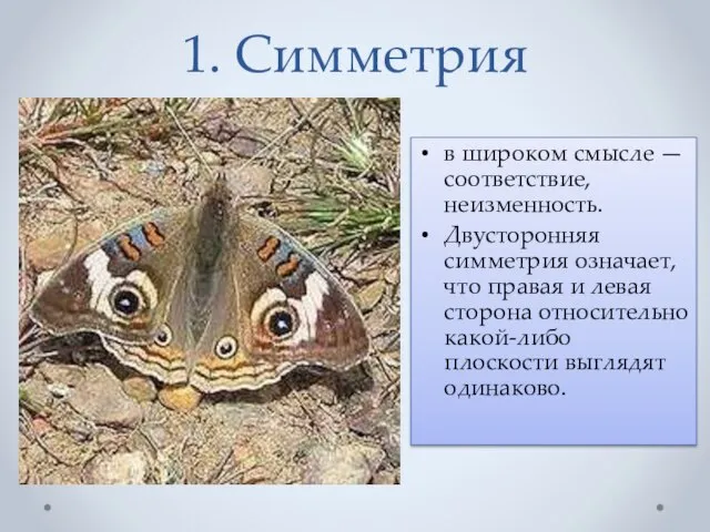 1. Симметрия в широком смысле — соответствие, неизменность. Двусторонняя симметрия означает, что