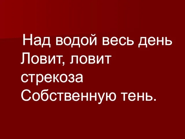 Над водой весь день Ловит, ловит стрекоза Собственную тень.