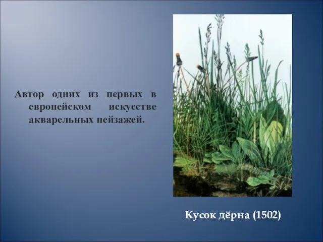 Кусок дёрна (1502) Автор одних из первых в европейском искусстве акварельных пейзажей.