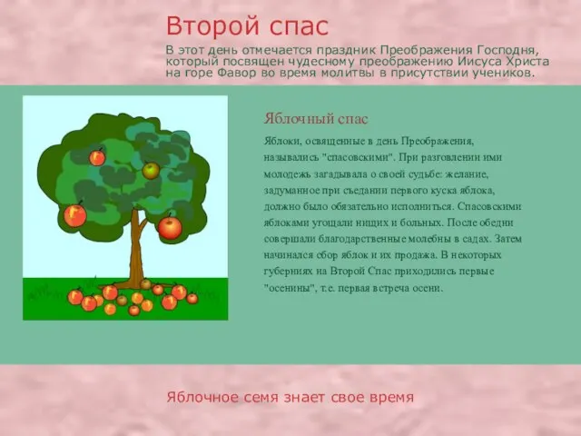 Яблочный спас Яблочное семя знает свое время Яблоки, освященные в день Преображения,