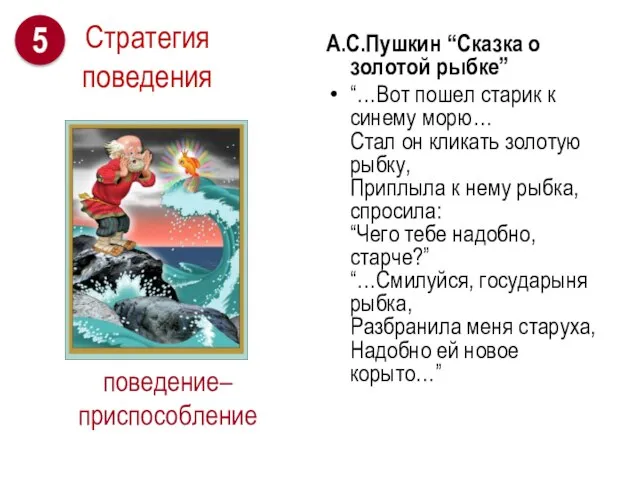 поведение– приспособление А.С.Пушкин “Сказка о золотой рыбке” “…Вот пошел старик к синему