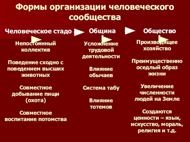 Формы организации человеческого сообщества Человеческое стадо Непостоянный коллектив Поведение сходно с поведением