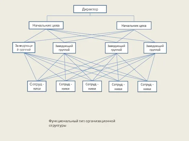 Директор Начальник цеха Заведующий группой Сотруд -ники Функциональный тип организационной структуры